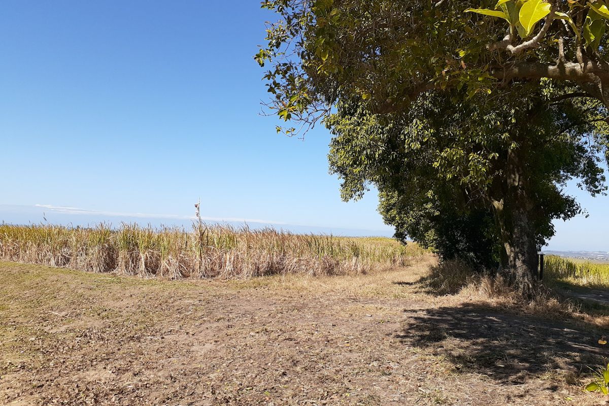 Farm For Sale in Shakaskraal - Photo 2