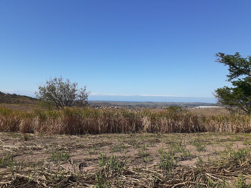 Farm For Sale in Shakaskraal - Photo 6