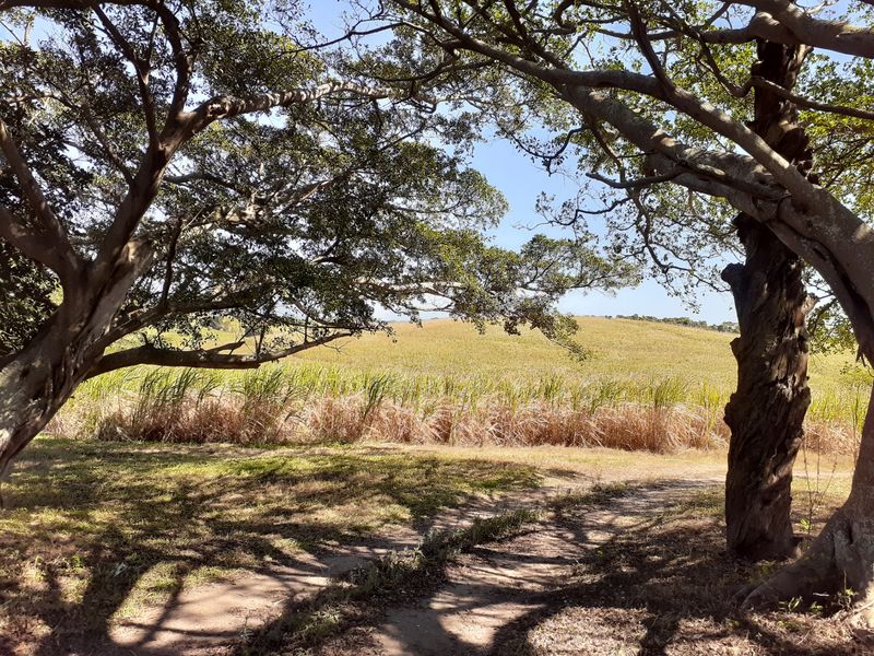Farm For Sale in Shakaskraal - Photo 7