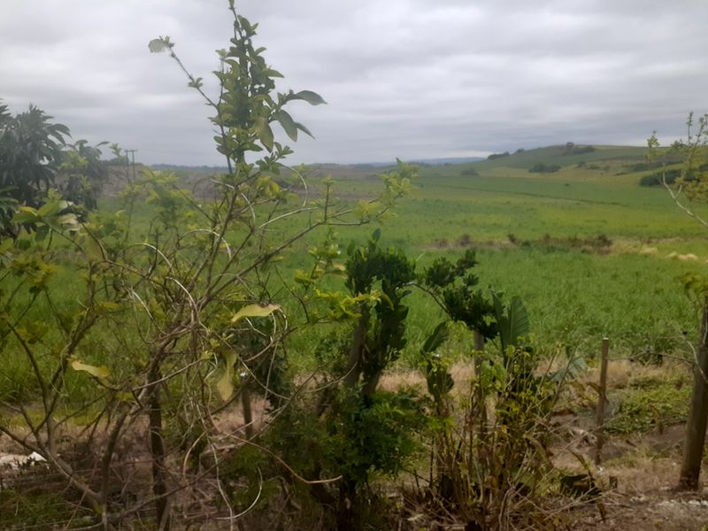 Farm For Sale in Fraser - Photo 2