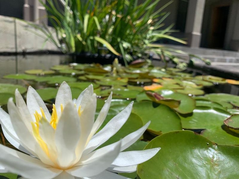 Farm For Sale in High Riding Country Estate - Photo 4