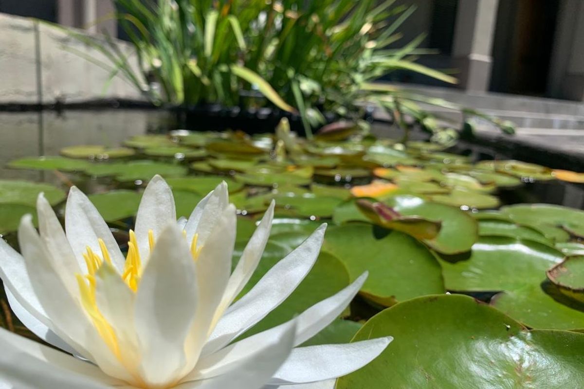 Farm For Sale in High Riding Country Estate - Photo 4