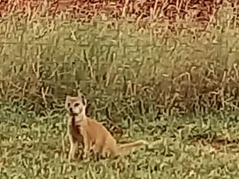 Vacant Land Residential For Sale in Orkney Central - Photo 10