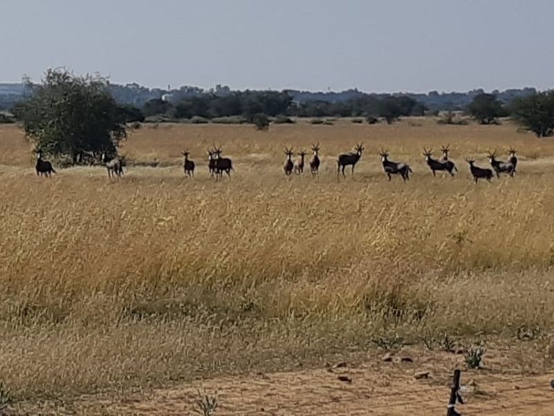 Vacant Land Residential For Sale in Orkney Central - Photo 9