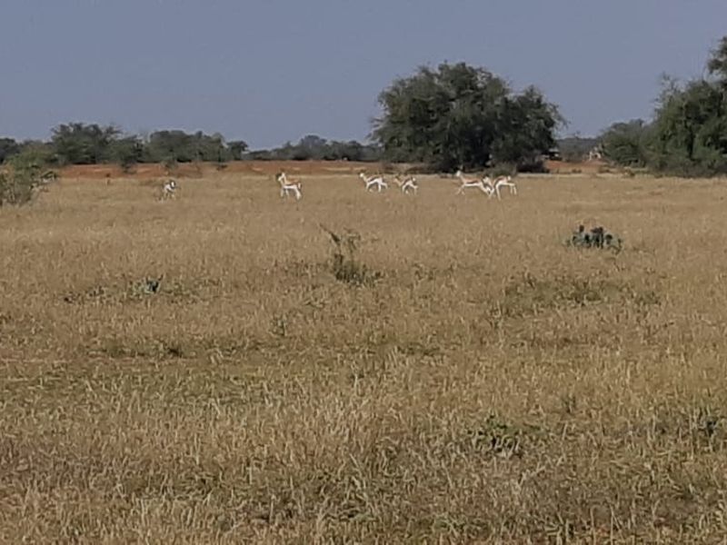 Vacant Land Residential For Sale in Orkney Central - Photo 7