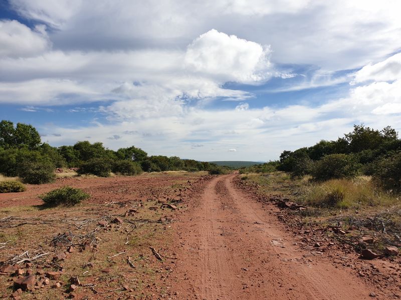 Farm For Sale in Vaalwater Central - Photo 5