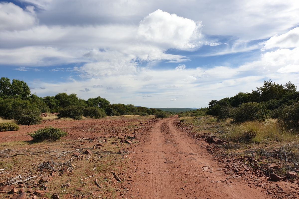 Farm For Sale in Vaalwater Central - Photo 5