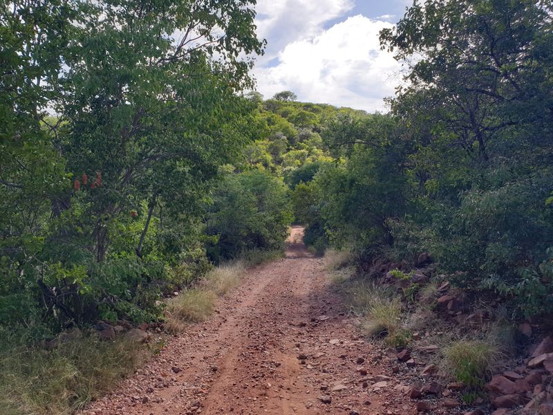 Farm For Sale in Vaalwater Central - Photo 2