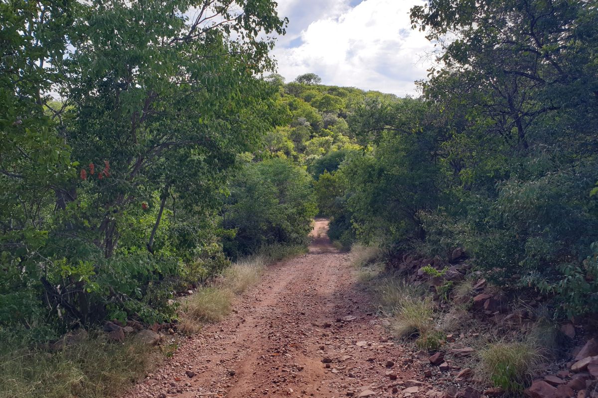 Farm For Sale in Vaalwater Central - Photo 2