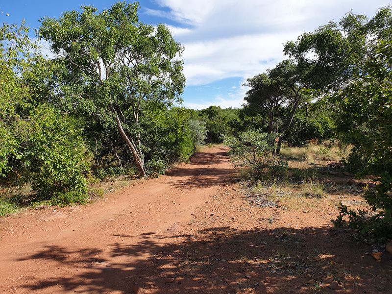 Farm For Sale in Vaalwater Central - Photo 4