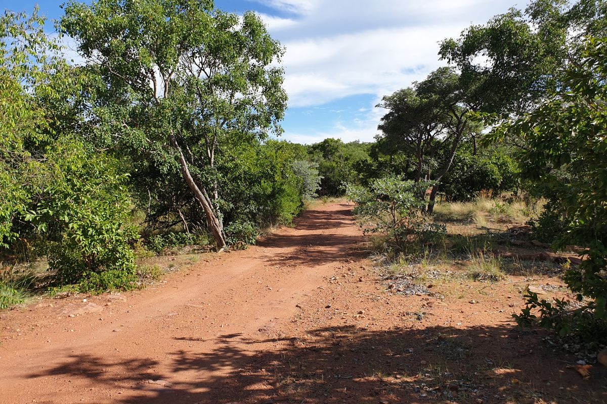 Farm For Sale in Vaalwater Central - Photo 4