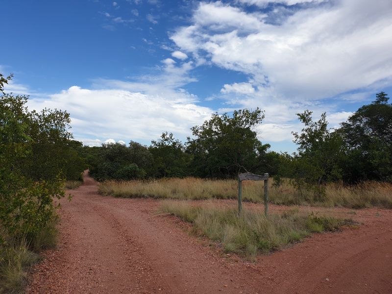 Farm For Sale in Vaalwater Central - Photo 9