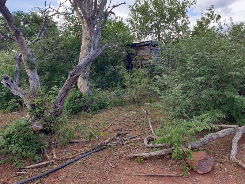 Farm For Sale in Vaalwater Central - Photo 7