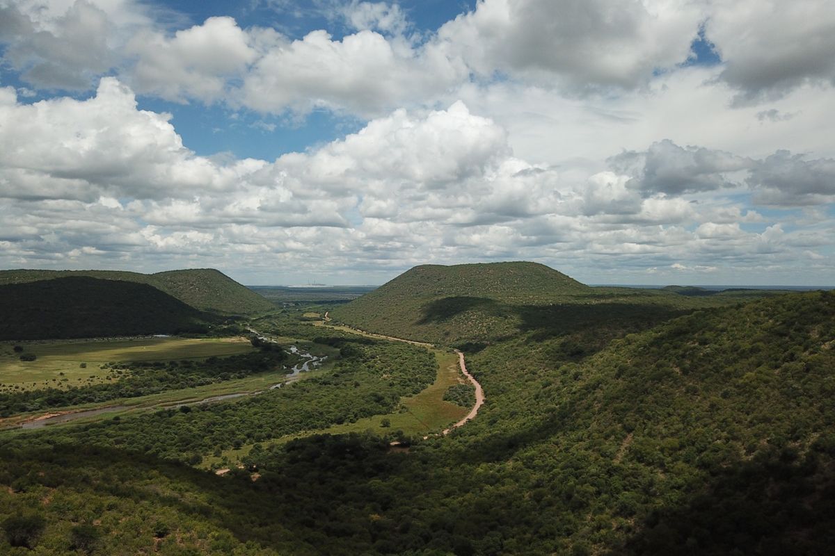 Farm For Sale in Vaalwater Central - Photo 2