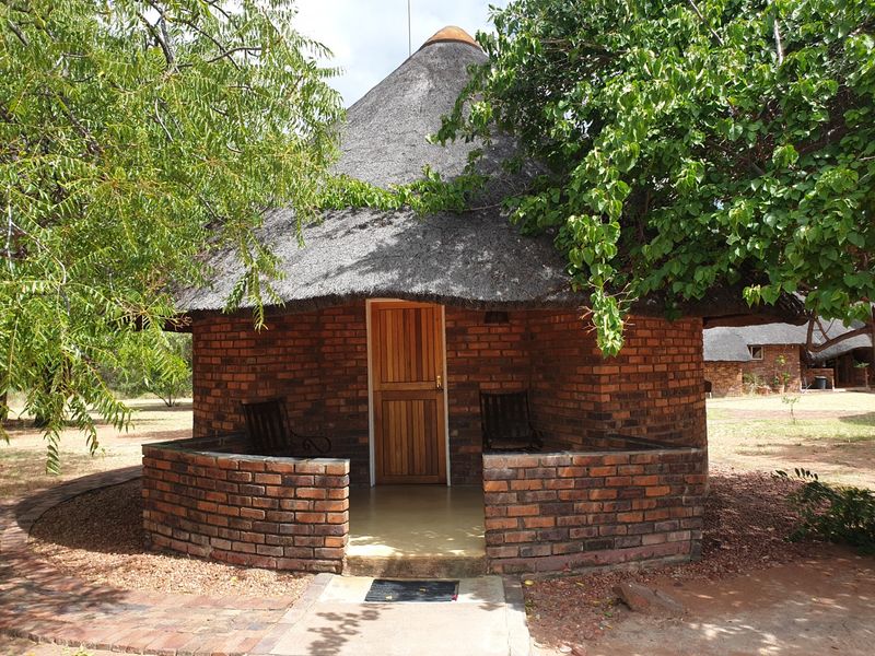 Farm For Sale in Vaalwater Central - Photo 8