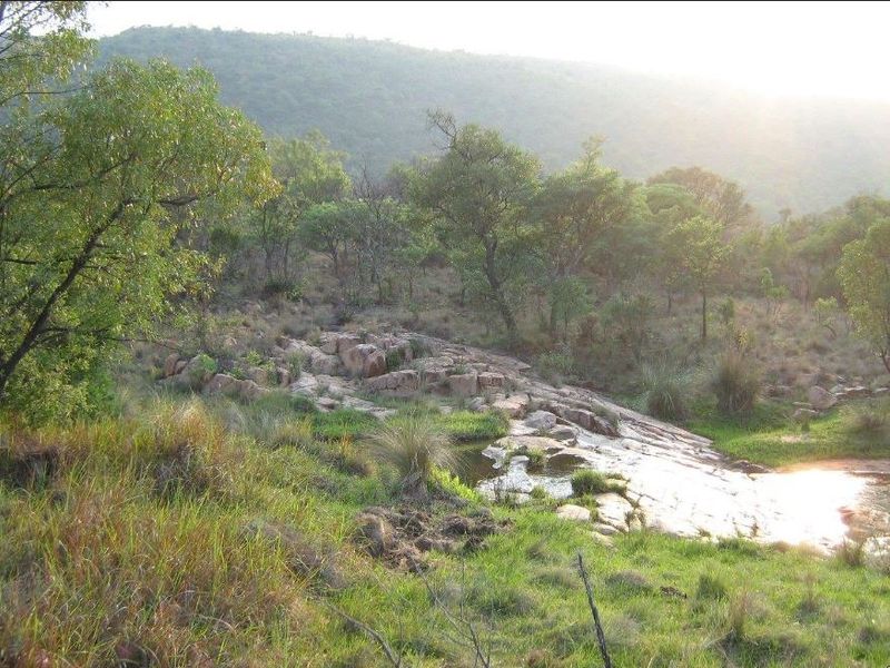 Farm For Sale in Modimolle Rural - Photo 10