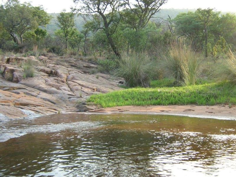 Farm For Sale in Modimolle Rural - Photo 9