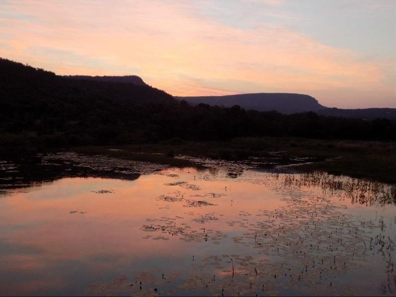 Farm For Sale in Modimolle Rural - Photo 7