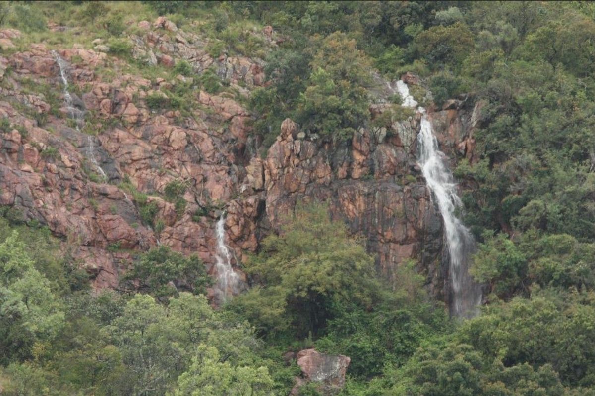 Farm For Sale in Modimolle Rural - Photo 3