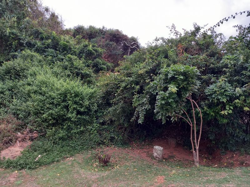 Vacant Land Residential For Sale in Westbrook - Photo 6