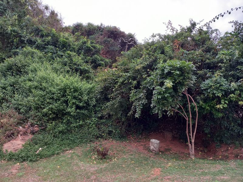 Vacant Land Residential For Sale in Westbrook - Photo 7