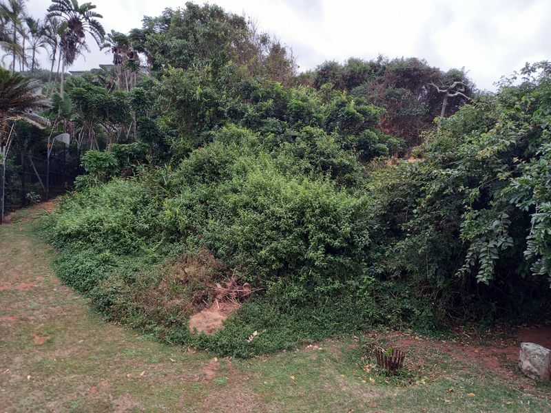 Vacant Land Residential For Sale in Westbrook - Photo 8