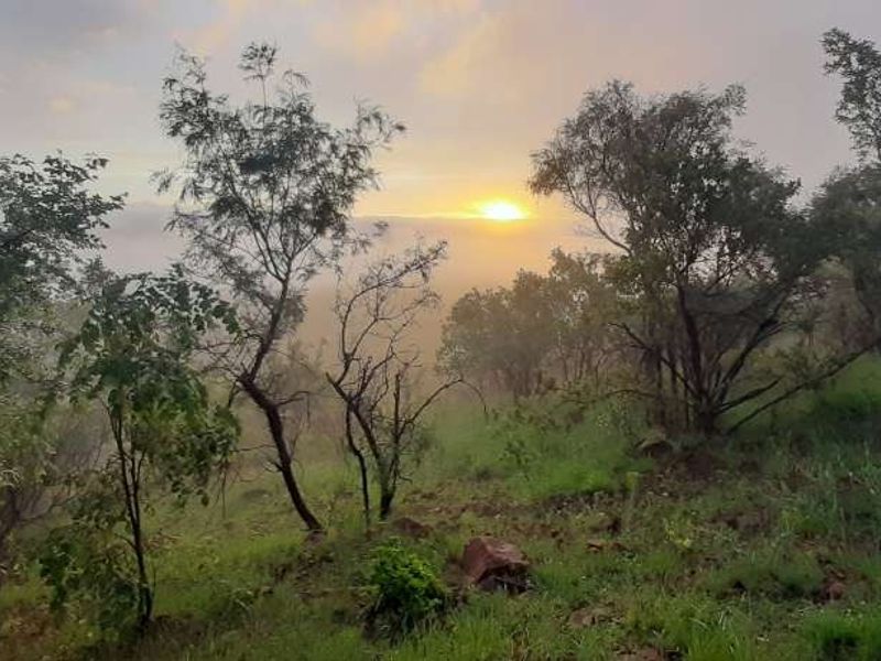 House For Sale in Highlands Wilderness Estate - Photo 5