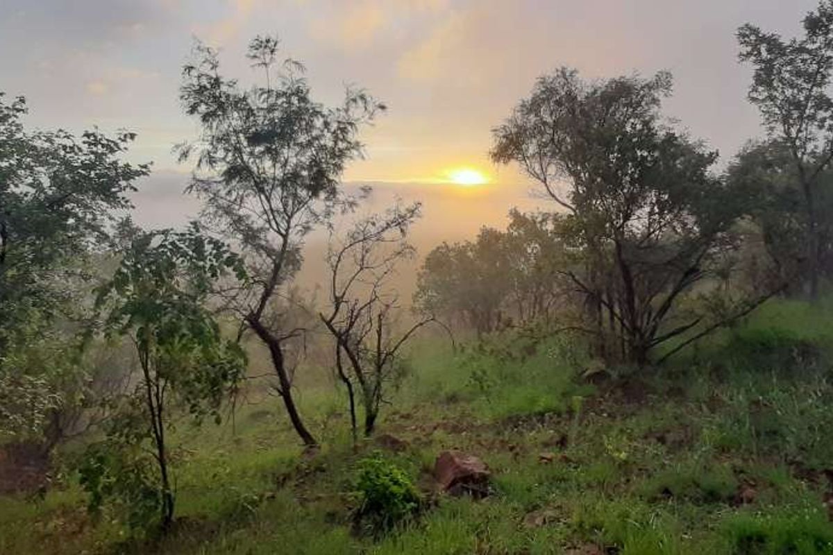 House For Sale in Highlands Wilderness Estate - Photo 5