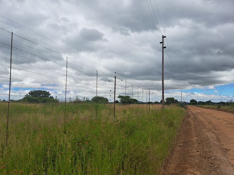 Farm For Sale in Polokwane Rural - Photo 3