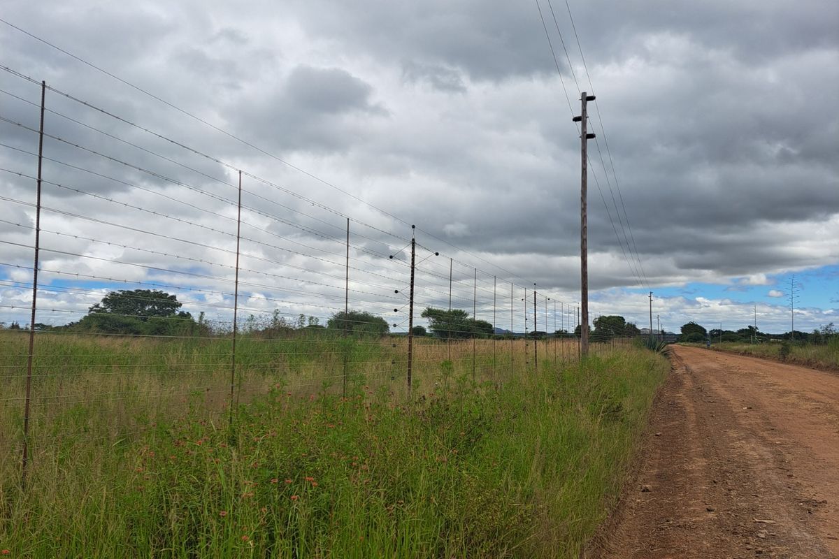 Farm For Sale in Polokwane Rural - Photo 3