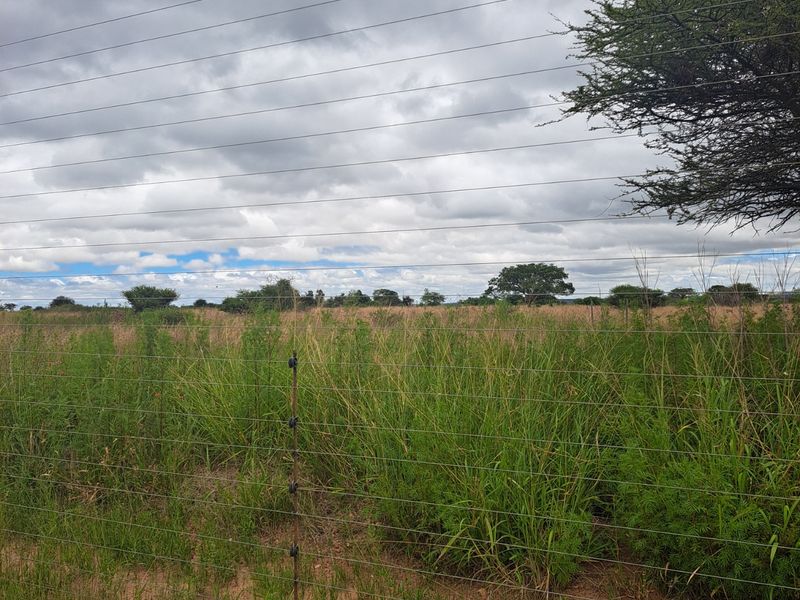 Farm For Sale in Polokwane Rural - Photo 4