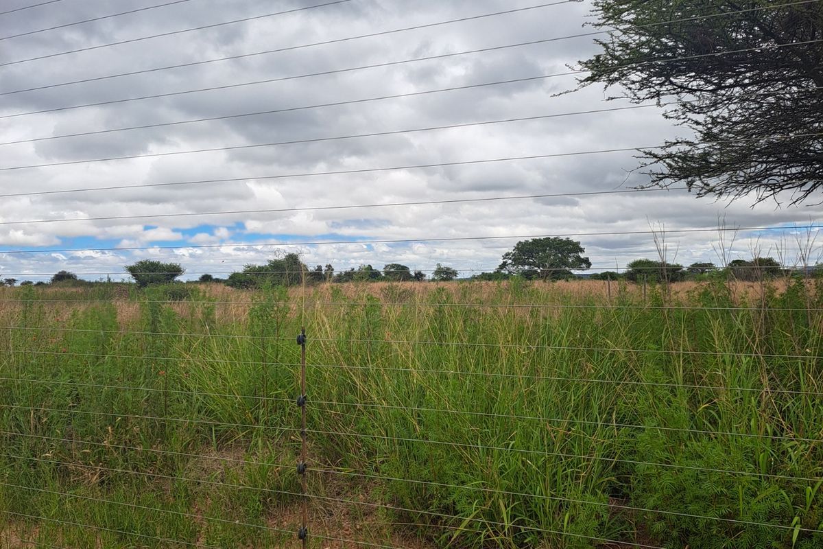Farm For Sale in Polokwane Rural - Photo 4