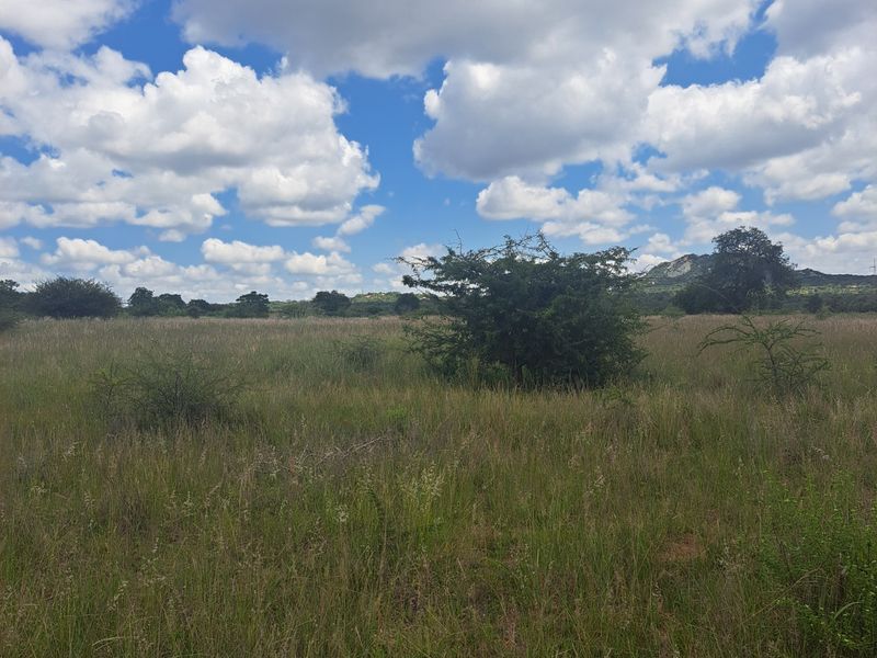 Farm For Sale in Polokwane Rural - Photo 10