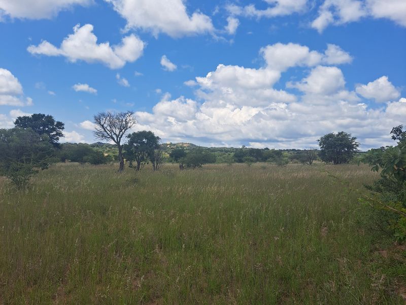 Farm For Sale in Polokwane Rural - Photo 9