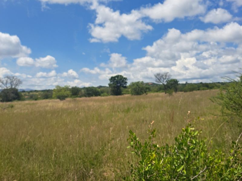 Farm For Sale in Polokwane Rural - Photo 7