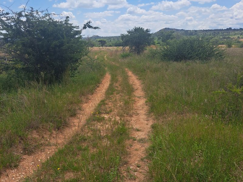 Farm For Sale in Polokwane Rural - Photo 8