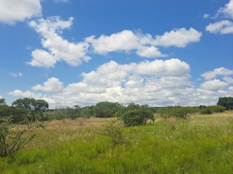 Farm For Sale in Polokwane Rural - Photo 6