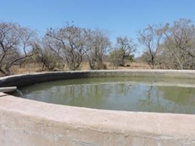 Farm For Sale in Polokwane Rural - Photo 3