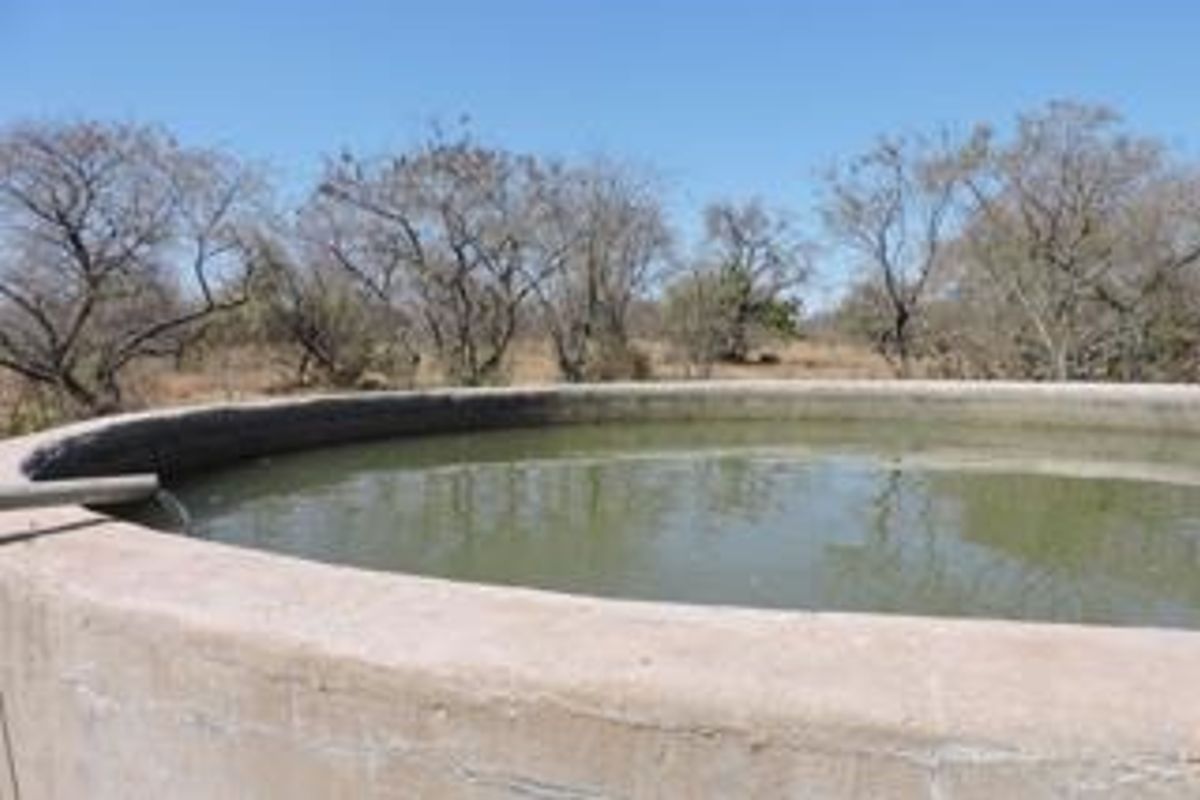 Farm For Sale in Polokwane Rural - Photo 3