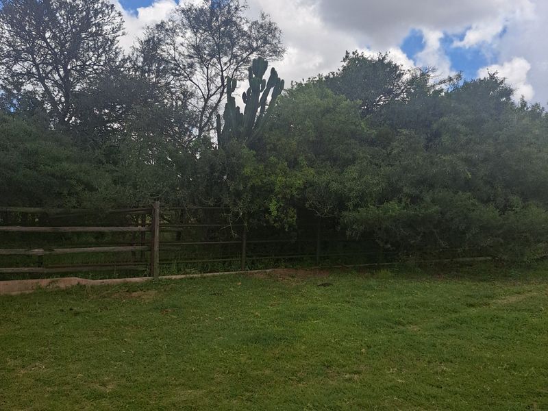 Farm For Sale in Polokwane Rural - Photo 4