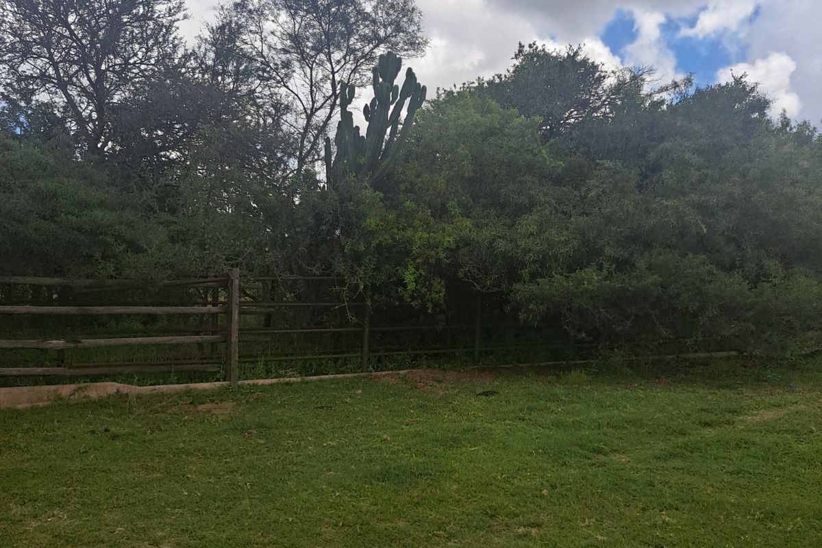 Farm For Sale in Polokwane Rural - Photo 4