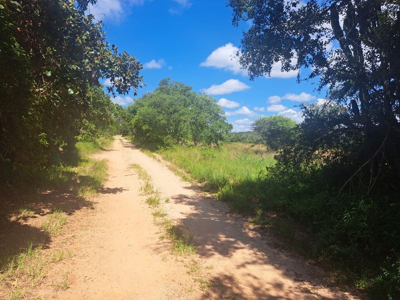 Farm For Sale in Polokwane Rural - Photo 9