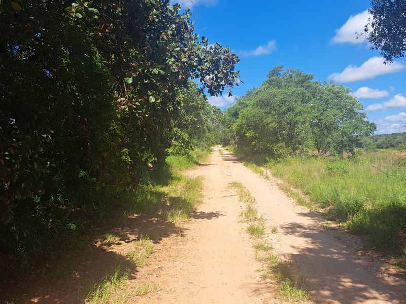 Farm For Sale in Polokwane Rural - Photo 8