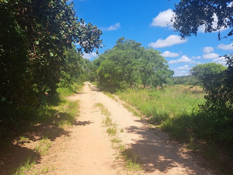 Farm For Sale in Polokwane Rural - Photo 7