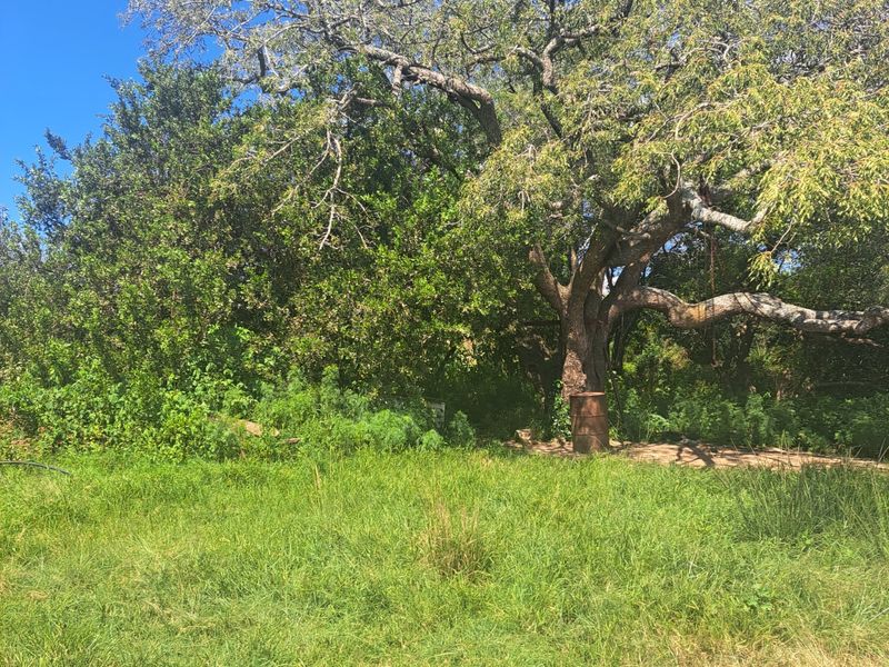 Farm For Sale in Polokwane Rural - Photo 5