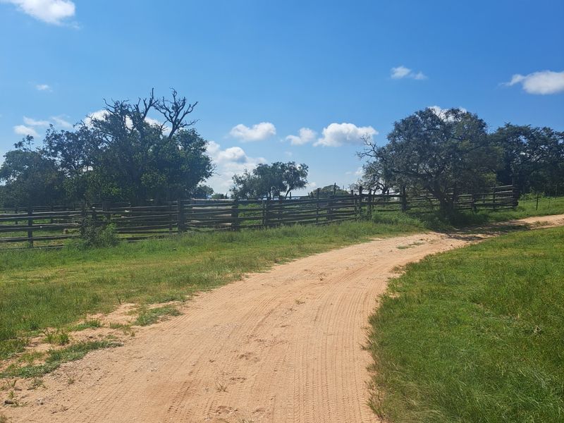 Farm For Sale in Polokwane Rural - Photo 4