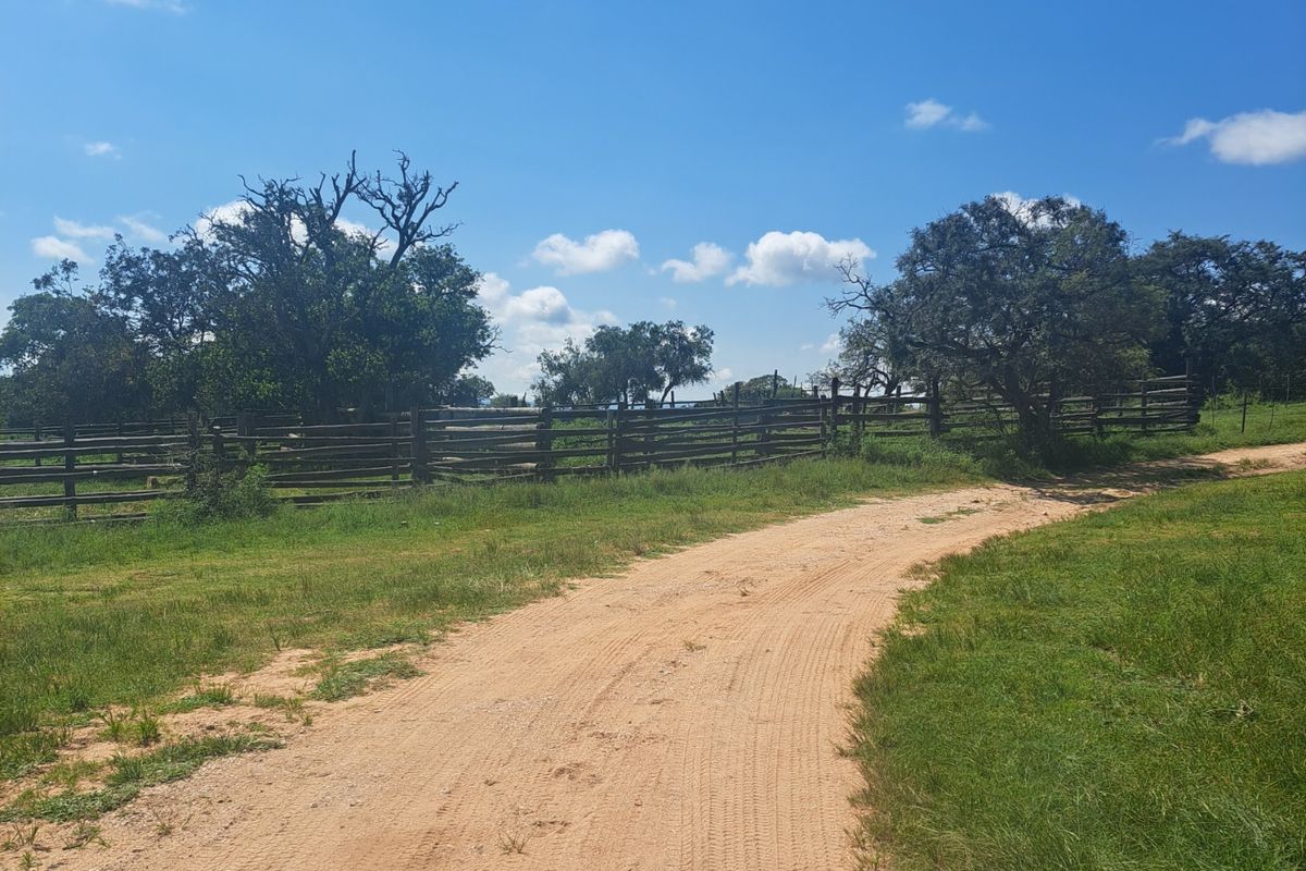 Farm For Sale in Polokwane Rural - Photo 4