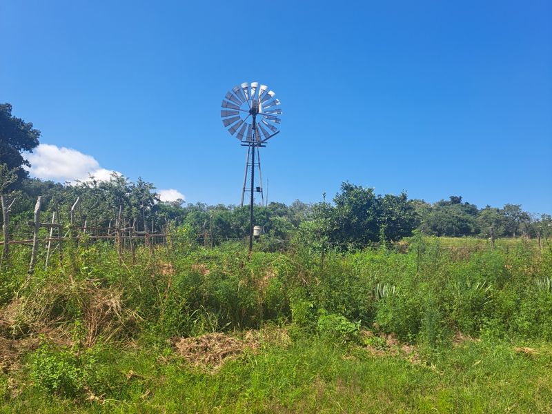 Farm For Sale in Polokwane Rural - Photo 6
