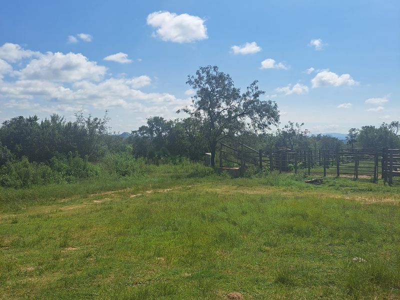 Farm For Sale in Polokwane Rural - Photo 3