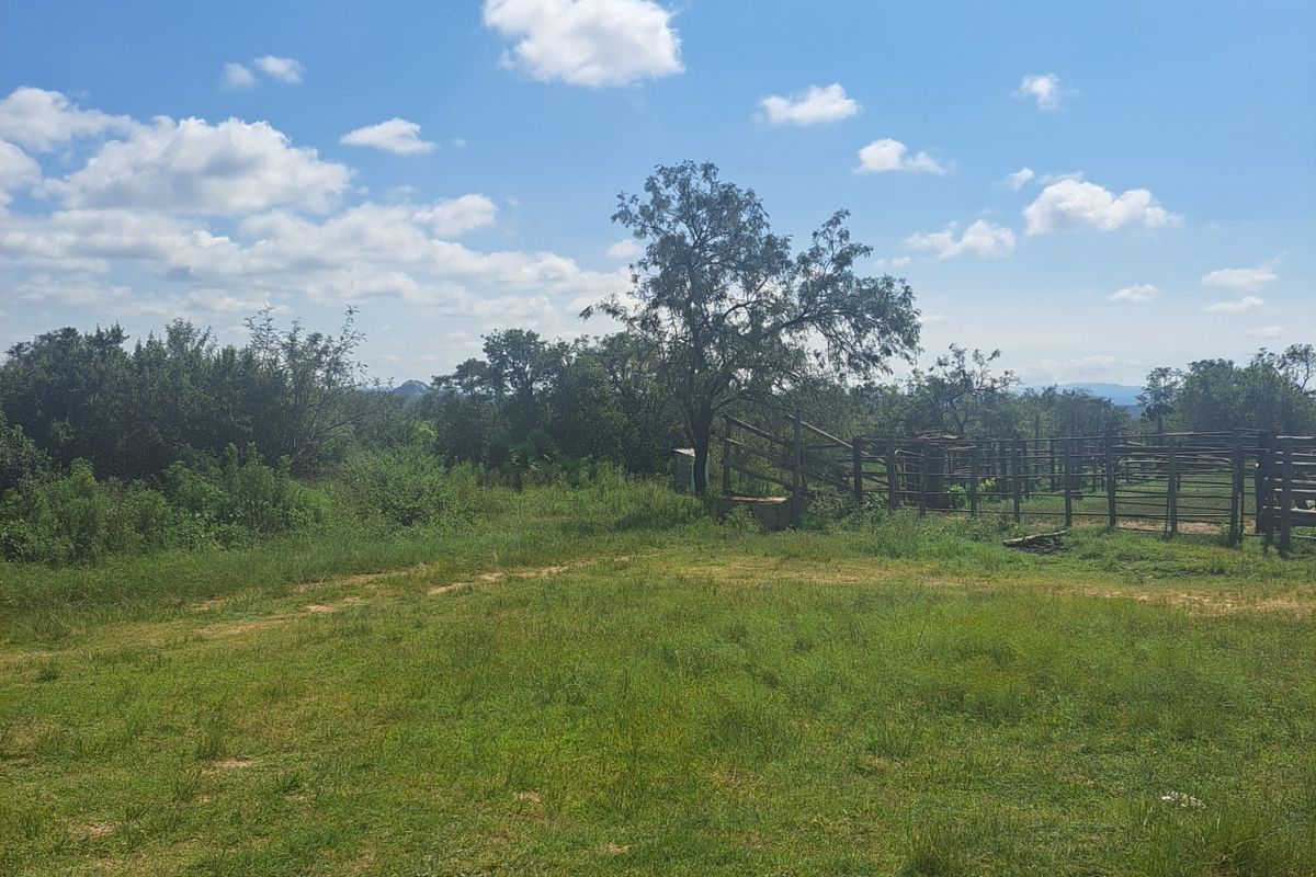 Farm For Sale in Polokwane Rural - Photo 3